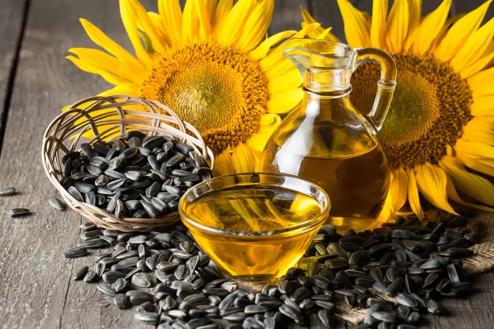 Sunflower Oil