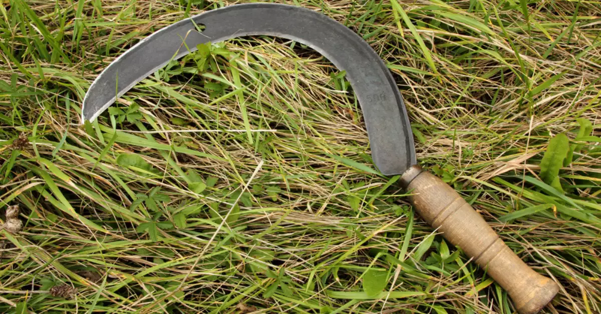 sickle sharpening