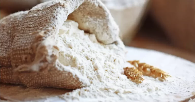 Pizza Flour vs Bread Flour