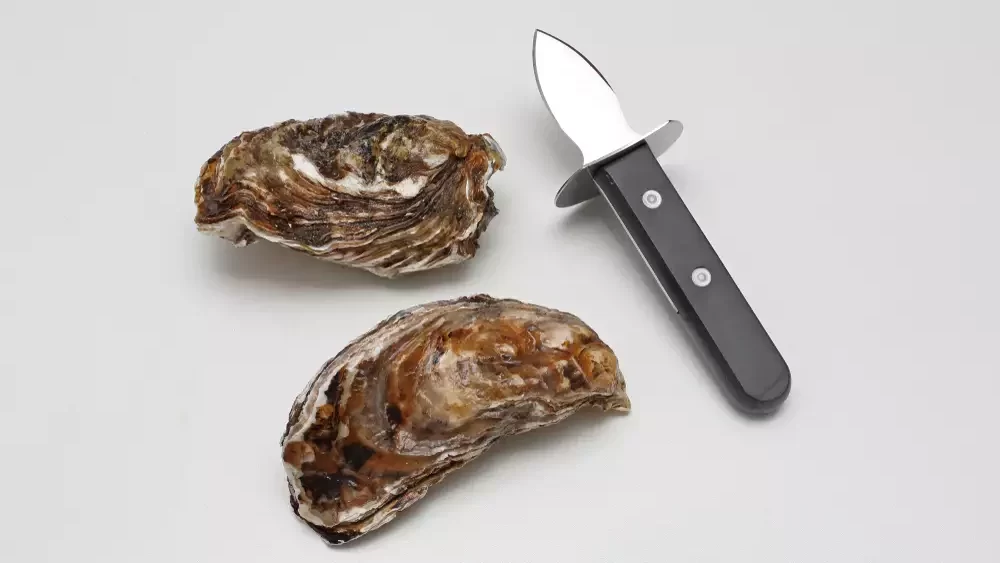 Clam Knife